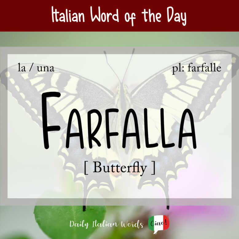 cover image with the word “farfalla” and a swallawtail in the background