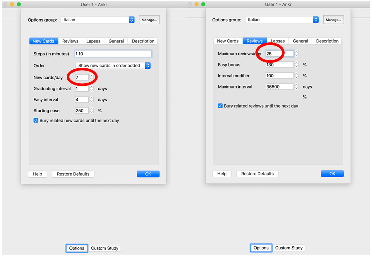 How to Use Anki Flashcards to Learn Italian Quickly Daily Italian Words