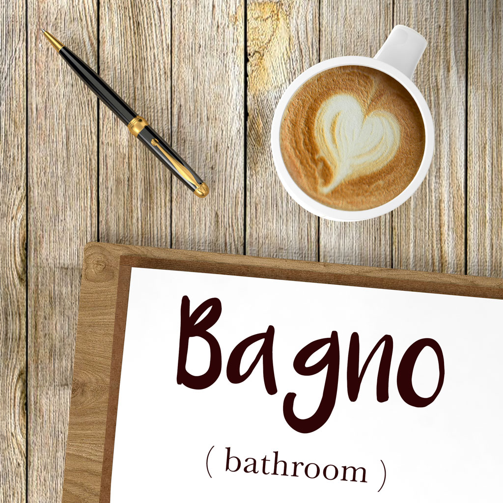 Bathroom In Italian Definition And Meaning In English MeaningKosh