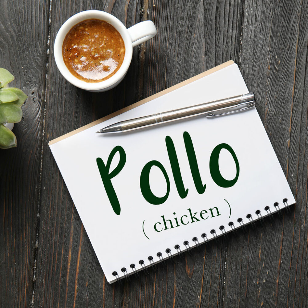 italian-word-of-the-day-pollo-chicken-daily-italian-words