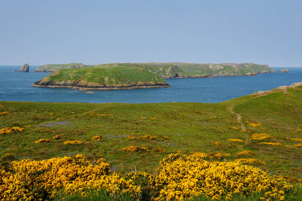 Italian Word of the Day Isola (island) Daily Italian Words