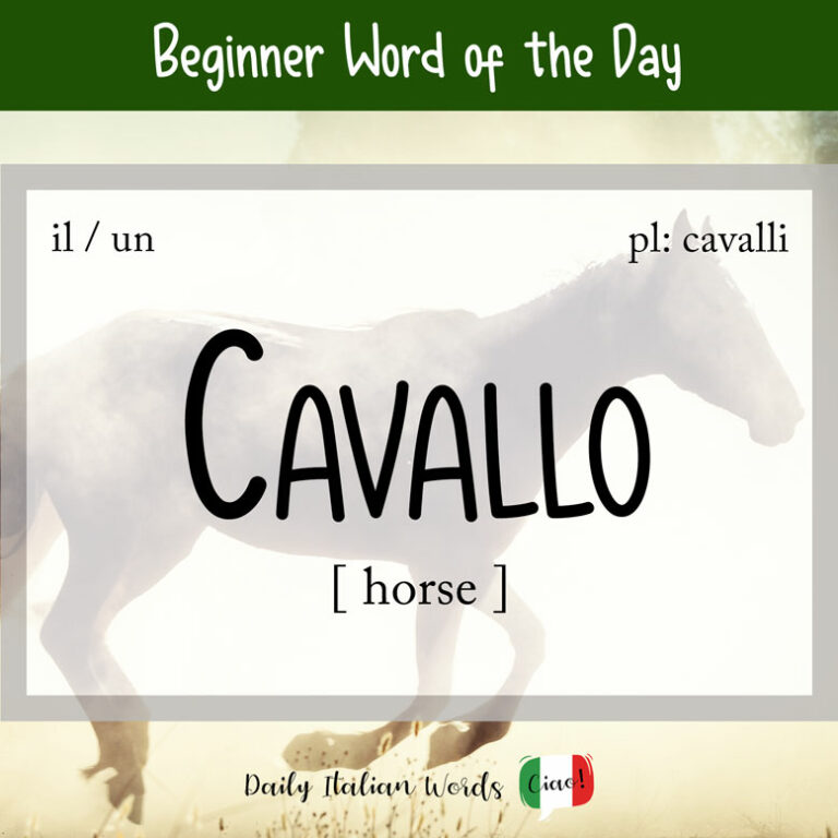 Italian Word of the Day Cavallo (horse) Daily Italian Words