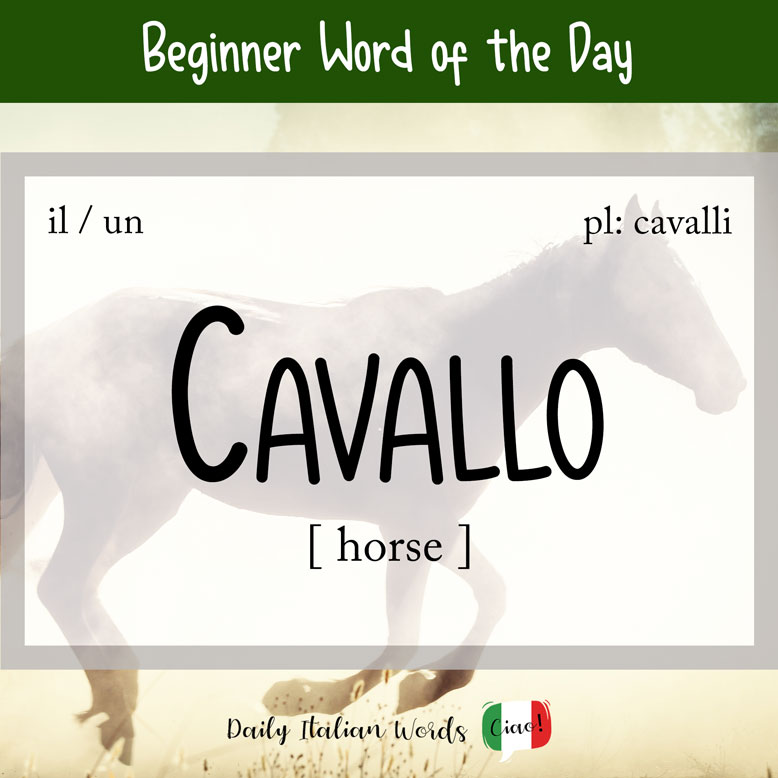 Italian word for 'horse'