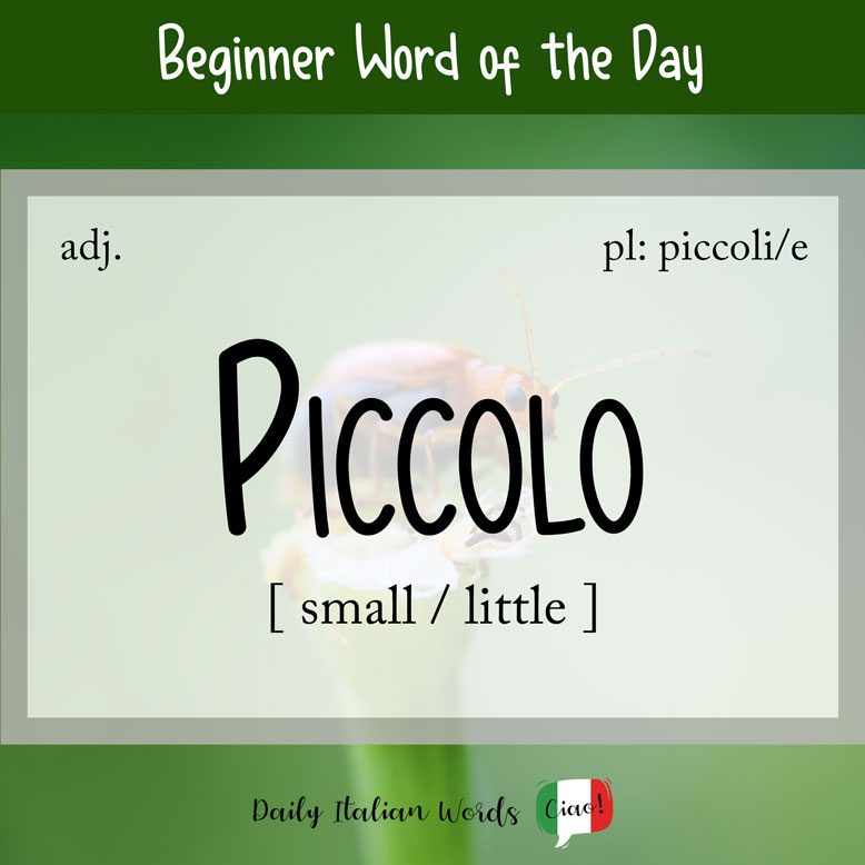 Italian word for small or little