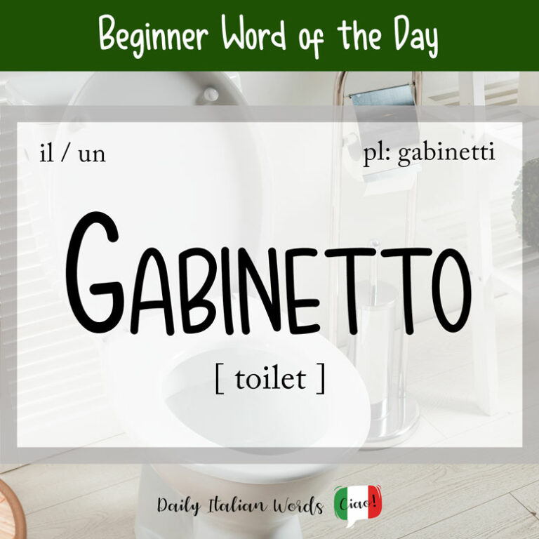 italian-word-of-the-day-gabinetto-toilet-daily-italian-words