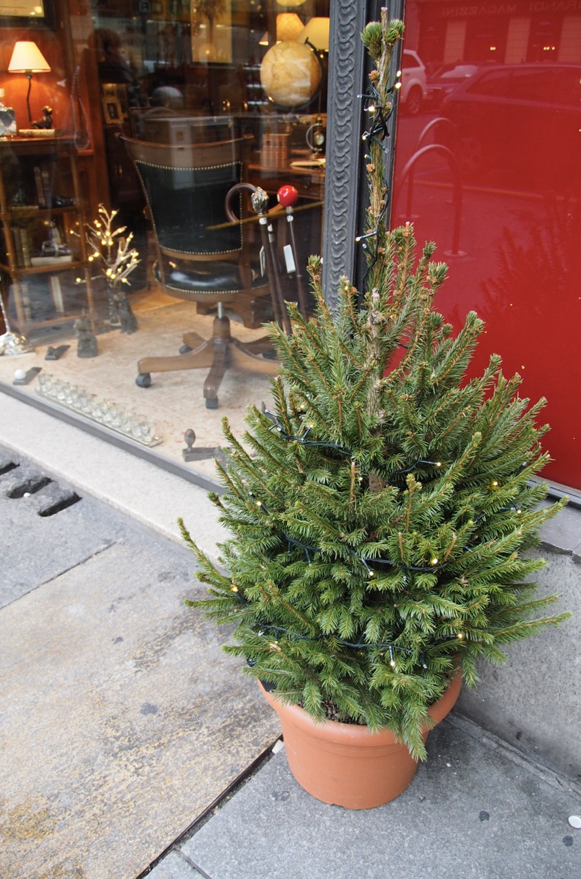 how-to-say-christmas-tree-in-italian-albero-di-natale-daily