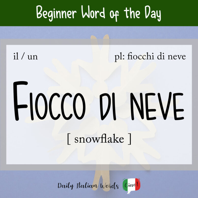 fiocco di neve