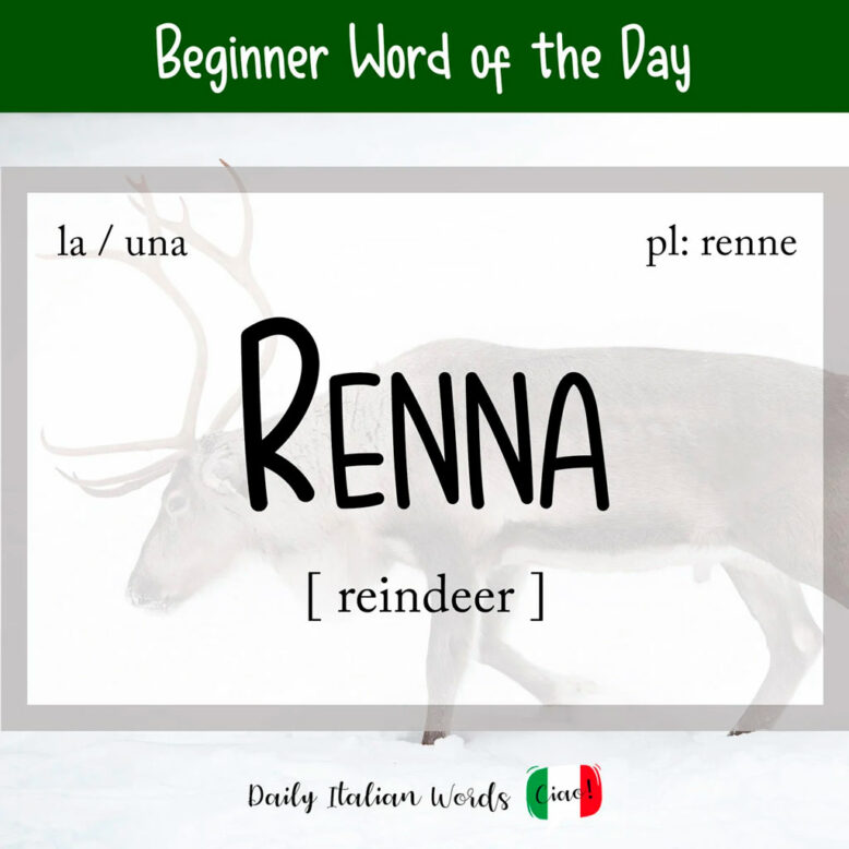 Italian word for reindeer, renna
