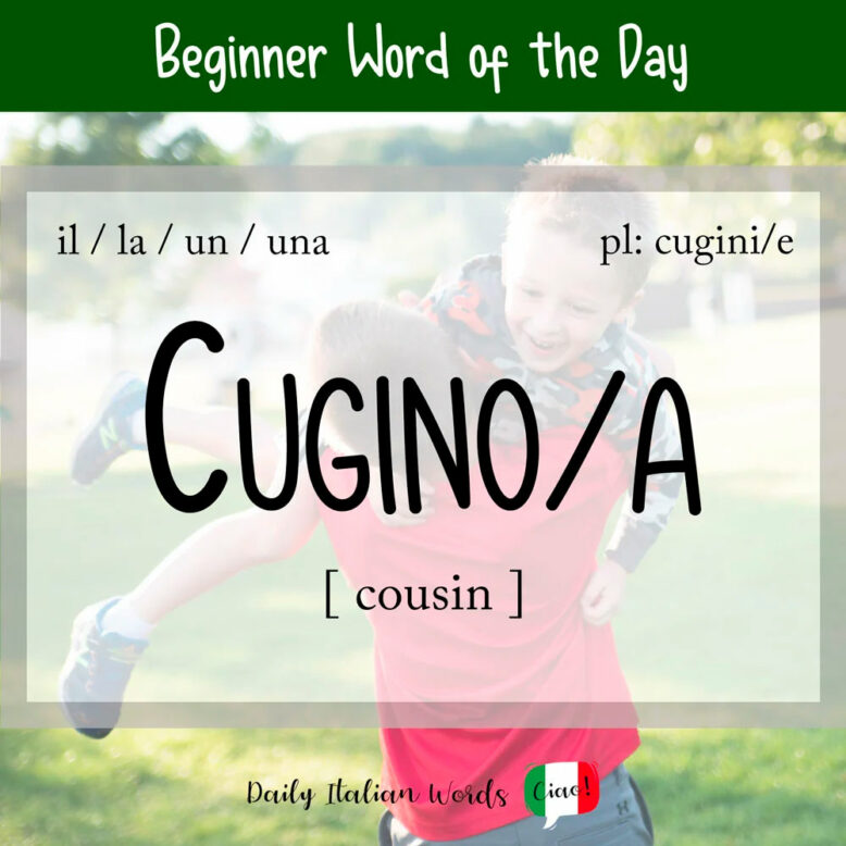 The Italian word for "cousin"