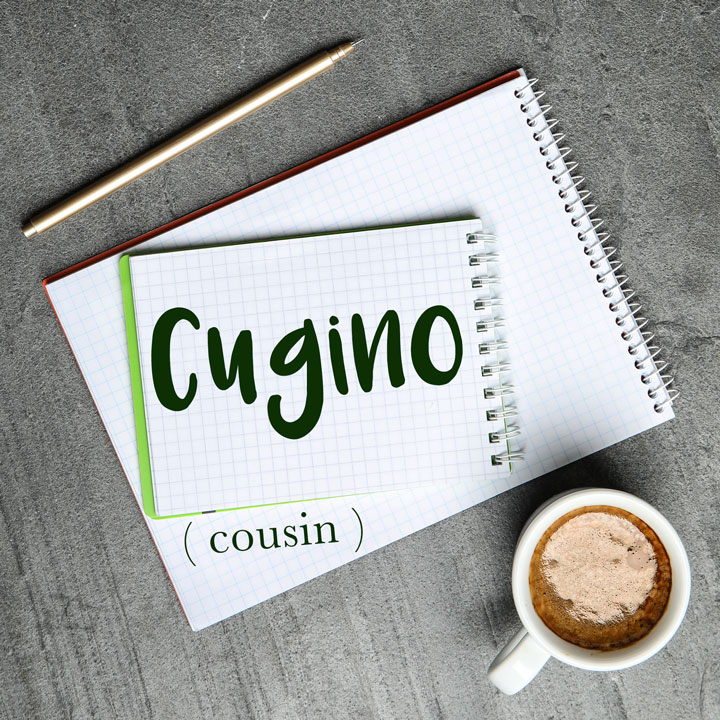  How To Say Cousin In Italian Cugino Cugina Daily Italian Words