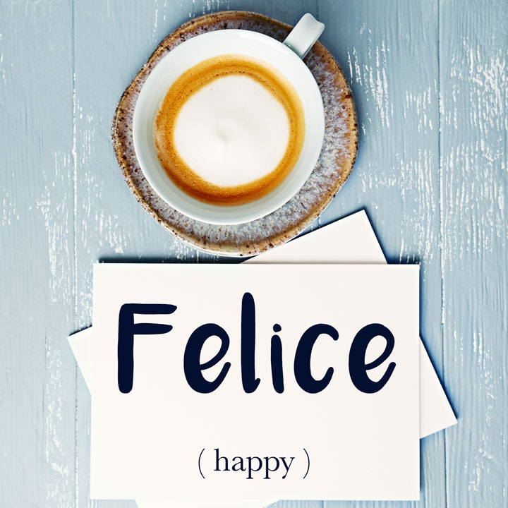 Italian Word Of The Day Felice Happy Daily Italian Words