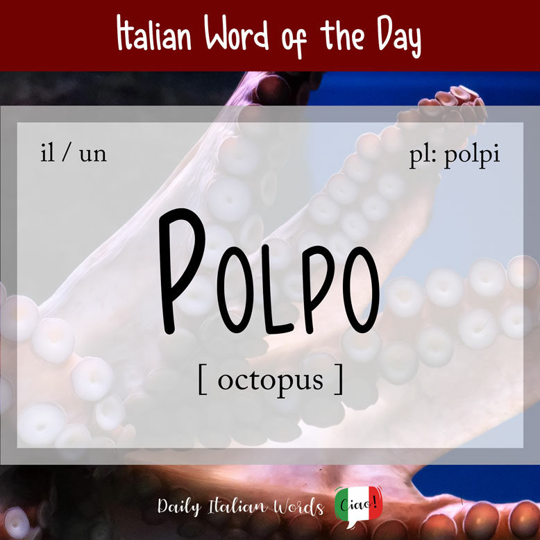 the italian word "polpo"