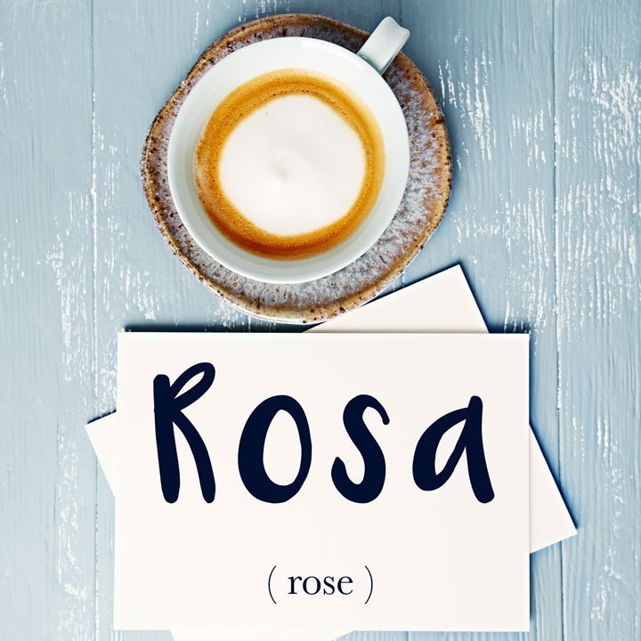 Italian Word of the Day Rosa (rose) Daily Italian Words