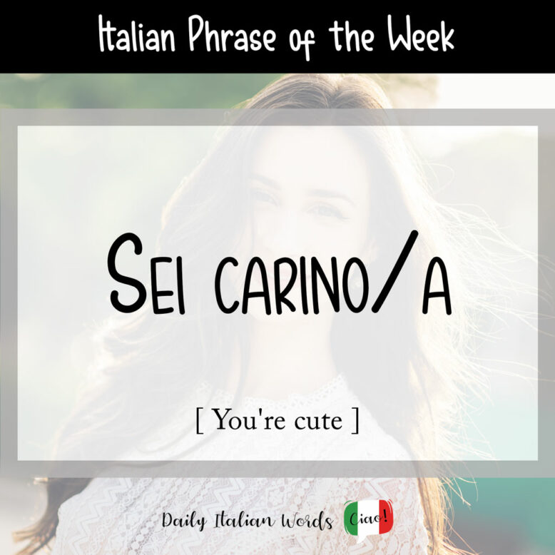 Italian phrase "sei carino"