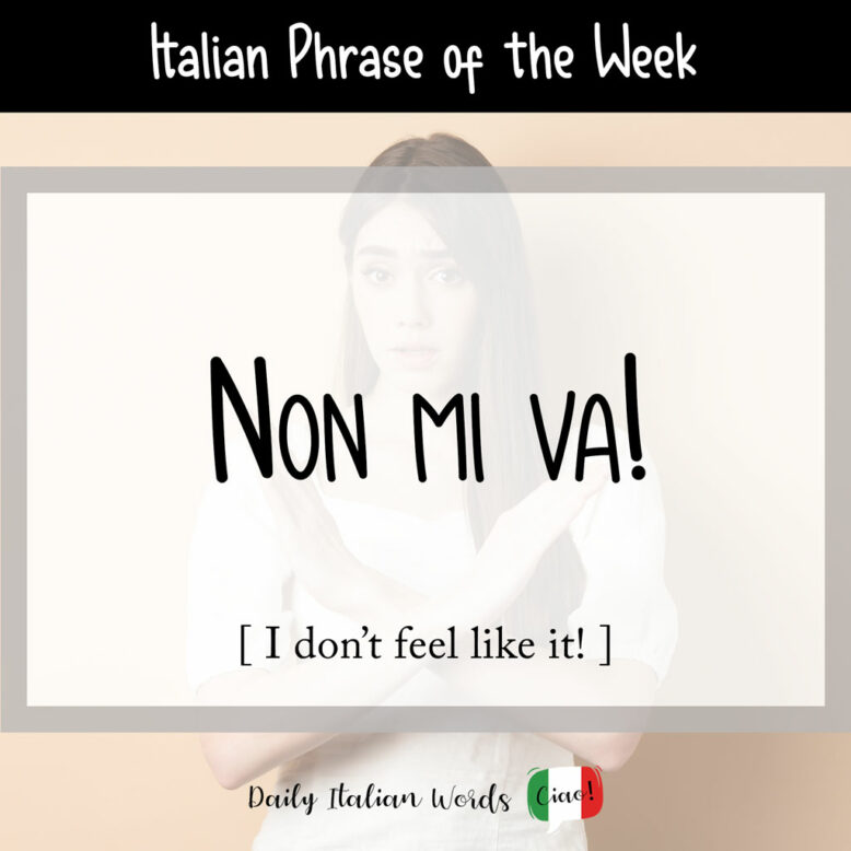 Italian phrase "non mi va"