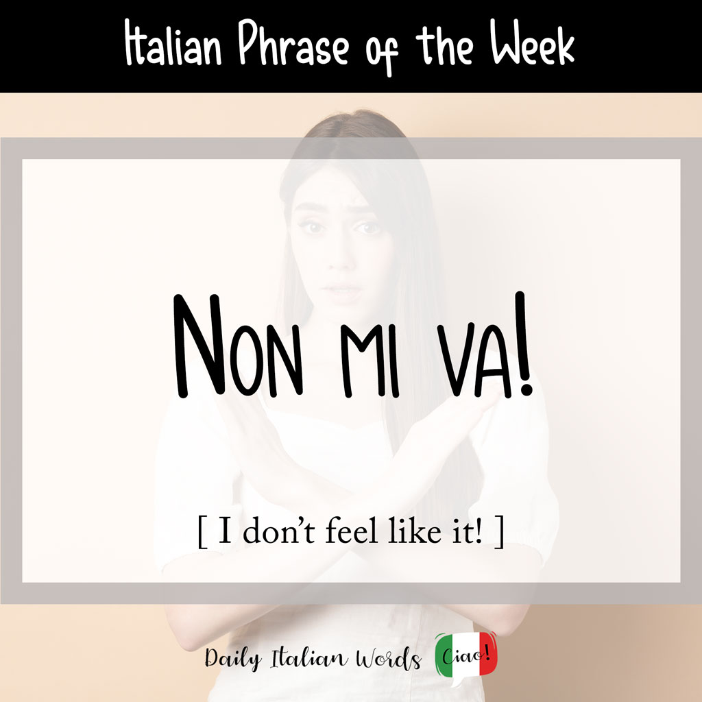 Italian phrase "non mi va"