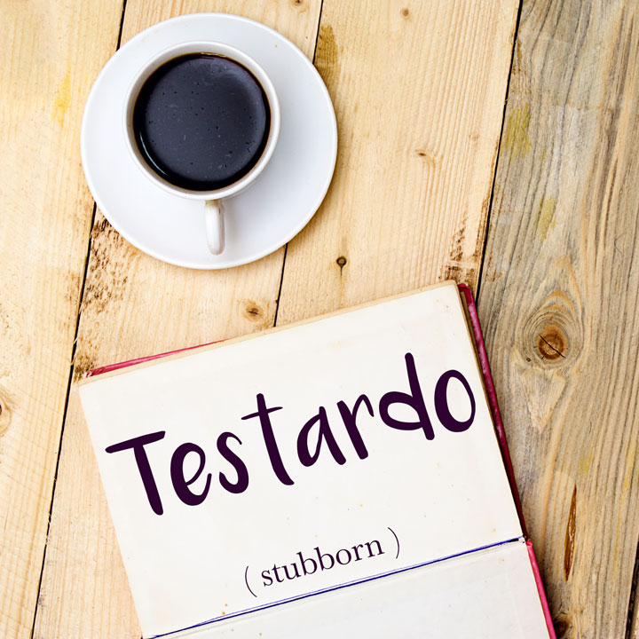 Italian Word Of The Day Testardo Stubborn Daily Italian Words