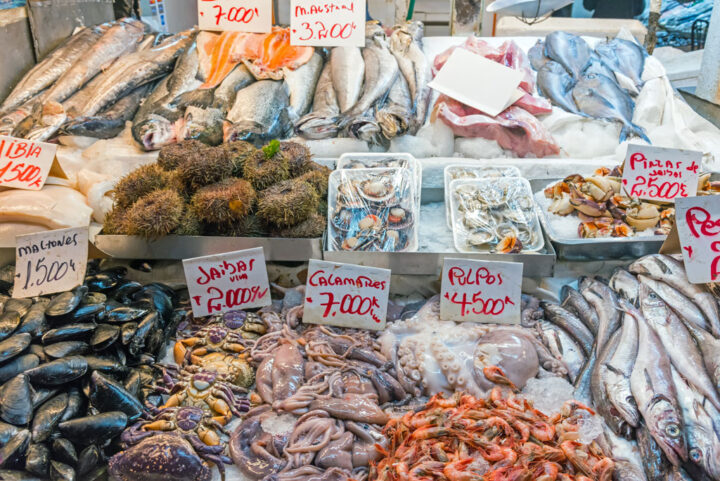fresh fish in a market stall