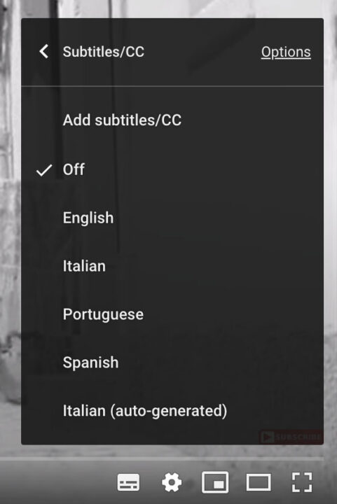 Language options for subtitles on YouTube