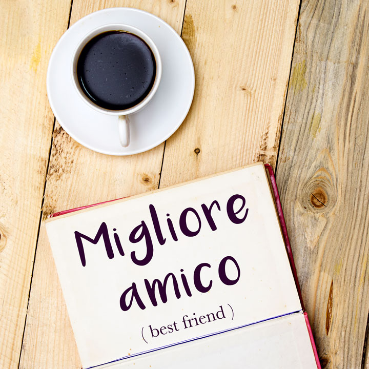 Italian Word Of The Day Migliore Amico best Friend Daily Italian Words