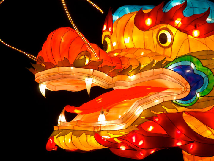 Close up of the head of a dragon lantern at China Light Festival