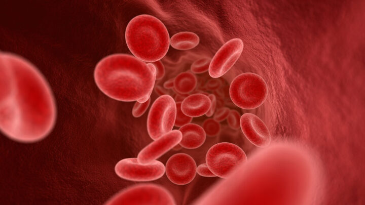 3D illustration of blood cells 