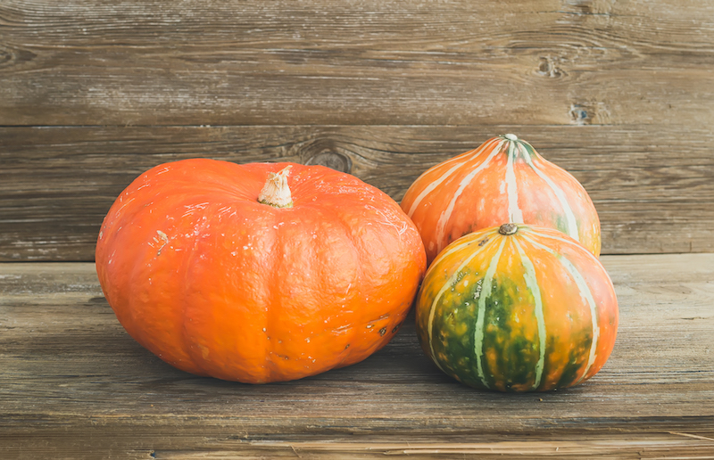 How to Say "Pumpkin" in Italian Zucca Daily Italian Words