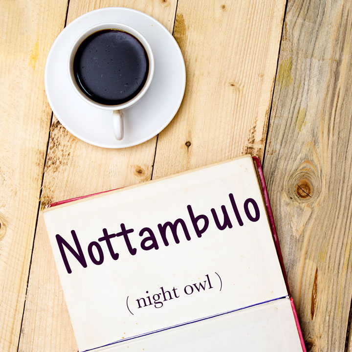 italian-word-of-the-day-nottambulo-night-owl-laptrinhx-news