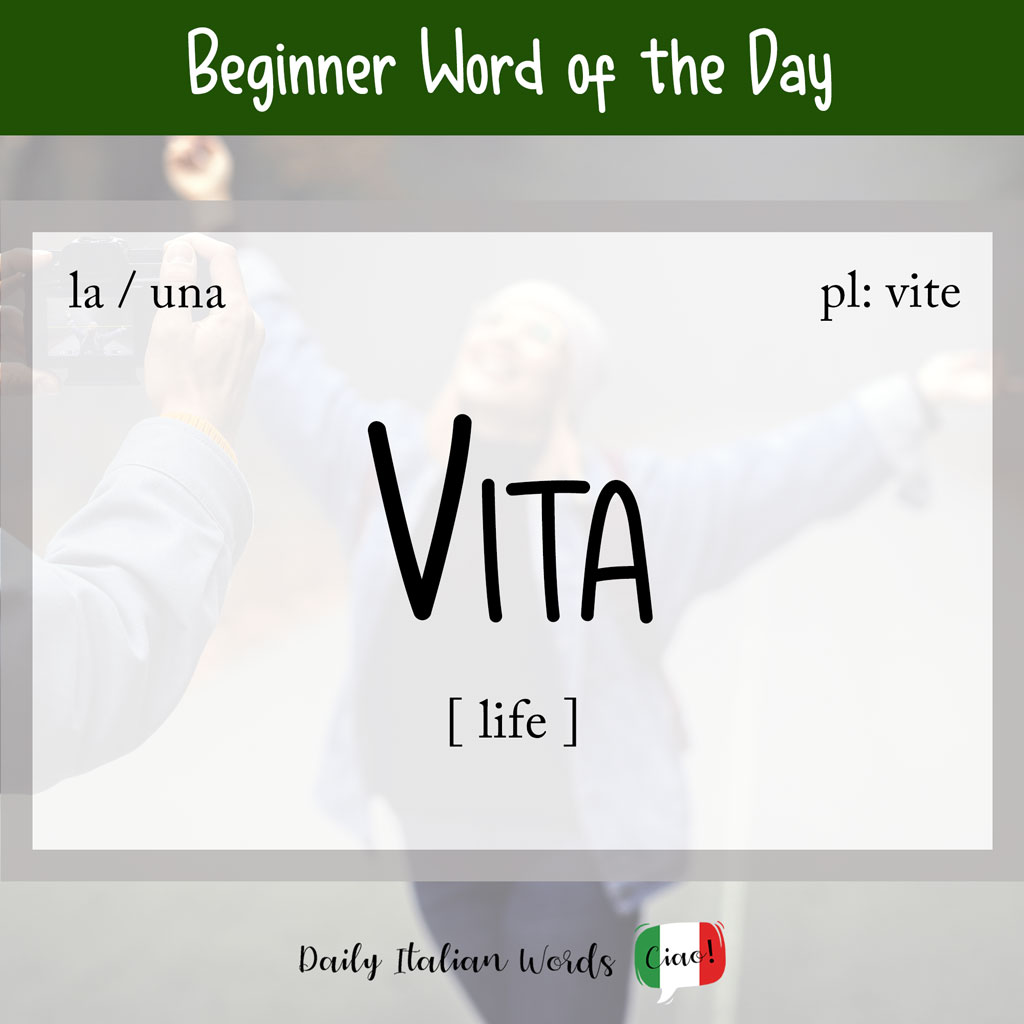 Italian word "vita" (life)