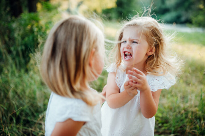 Two small angry sisters outdoors in sunny summer nature, screaming and arguing.