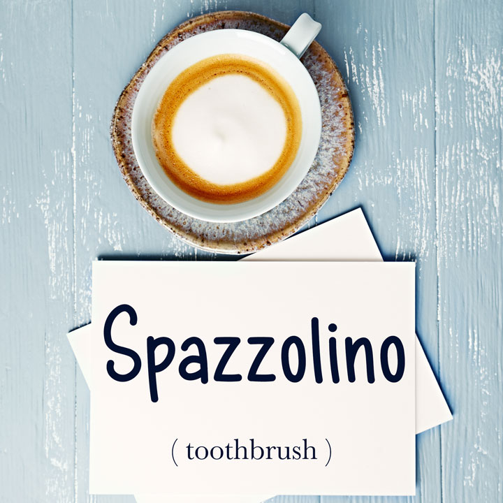 Italian Word of the Day Spazzolino (toothbrush) Daily Italian Words