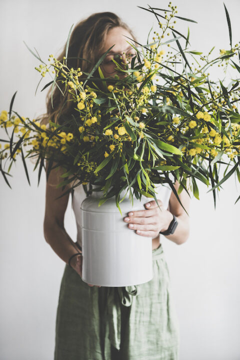 Bouquet of fresh Spring blooming Mimosa branches in enamel vase in hands of young woman