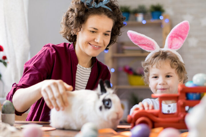 Portrait of young mother and son celebrating Easter at home and playing with cute pet bunny at table with toys and painted eggs
