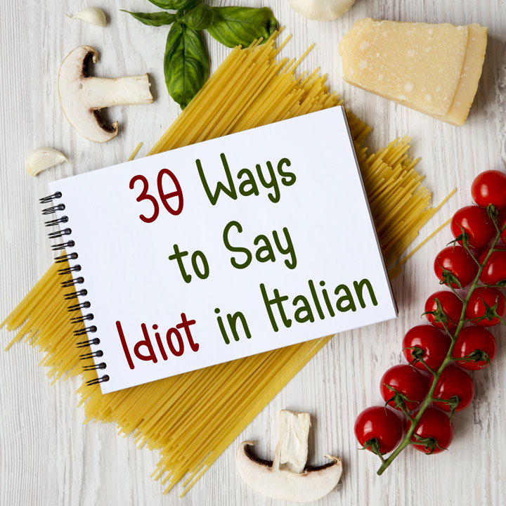 How To Say Idiot In The Italian Language 30 Different Ways Daily 