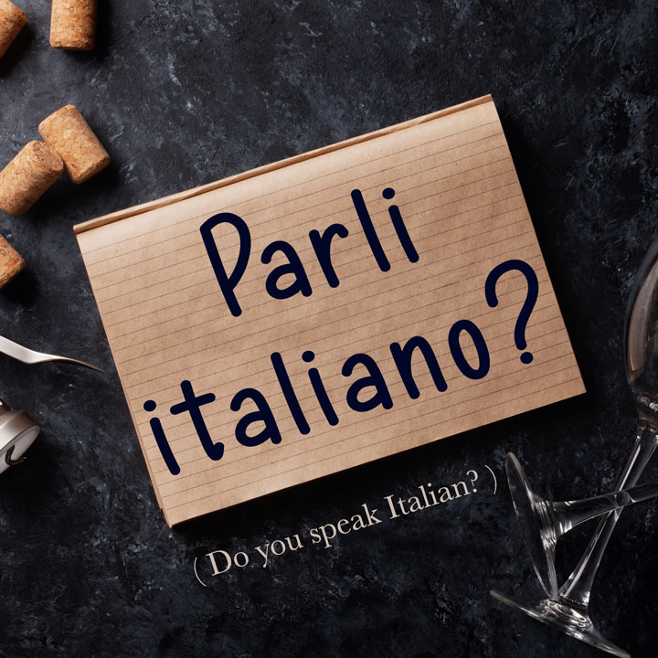 Italian Phrase: Parli italiano? (Do you speak Italian?) - Daily Italian ...