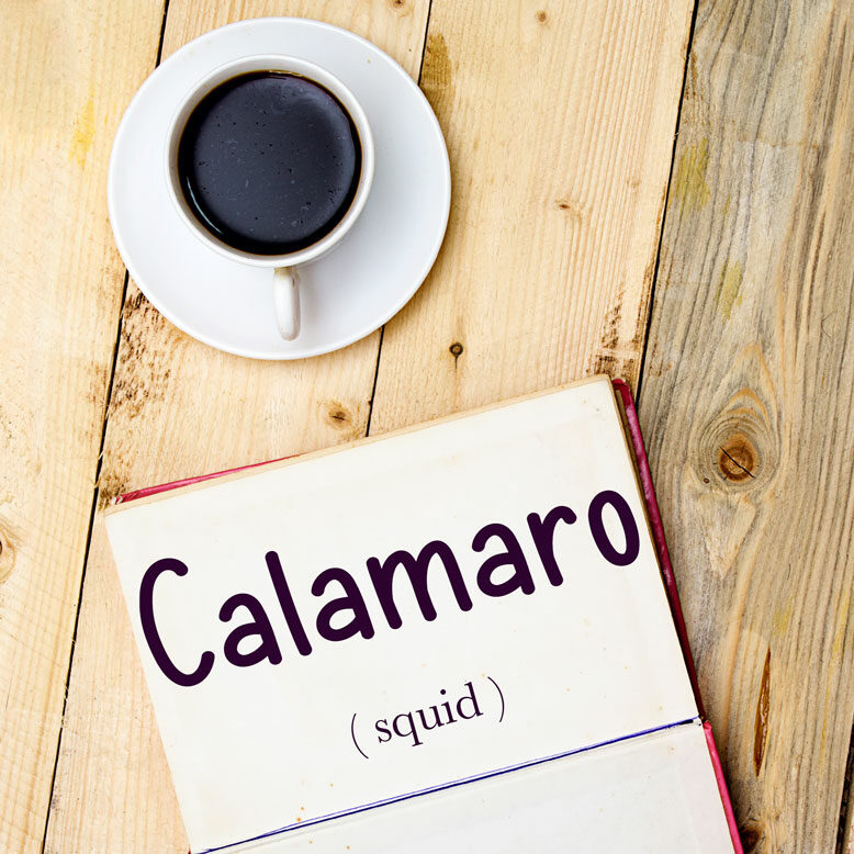 cover image with the word “calamaro” and its translation written on a notepad next to a cup of cofee