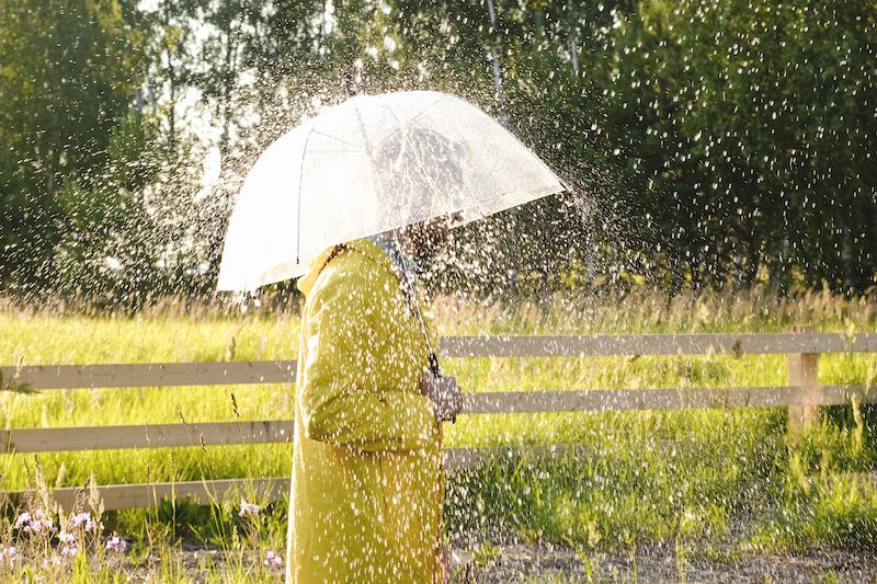 italian-word-of-the-day-pioggia-rain-daily-italian-words