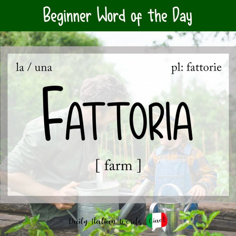 Italian word for farm fattoria