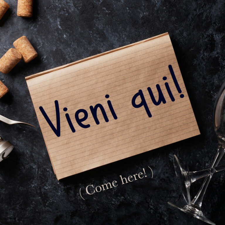 how-to-say-come-here-in-italian-vieni-qui-daily-italian-words