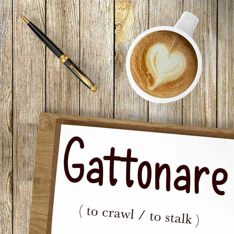 cover image with the word “gattonare” and its translation written on a notepad next to a cup of cofee