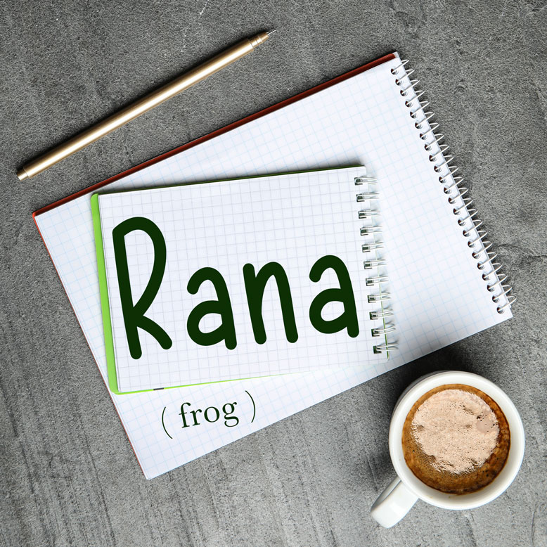 cover image with the word “rana” and its translation written on a notepad next to a cup of coffee
