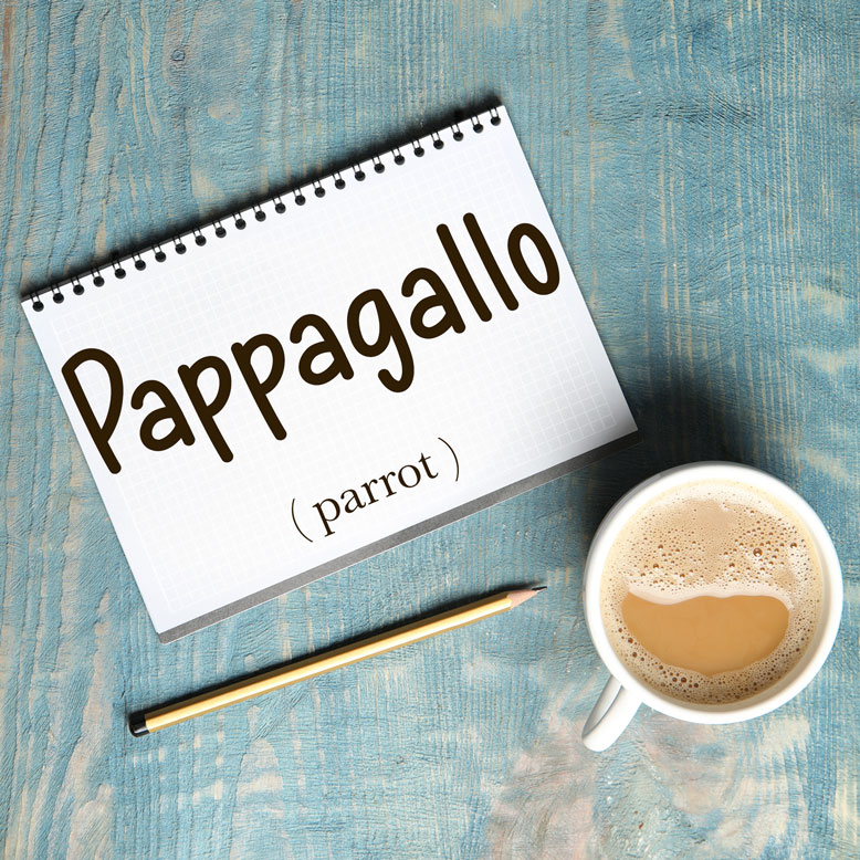 cover image with the word “pappagallo” and its translation written on a notepad next to a cup of coffee
