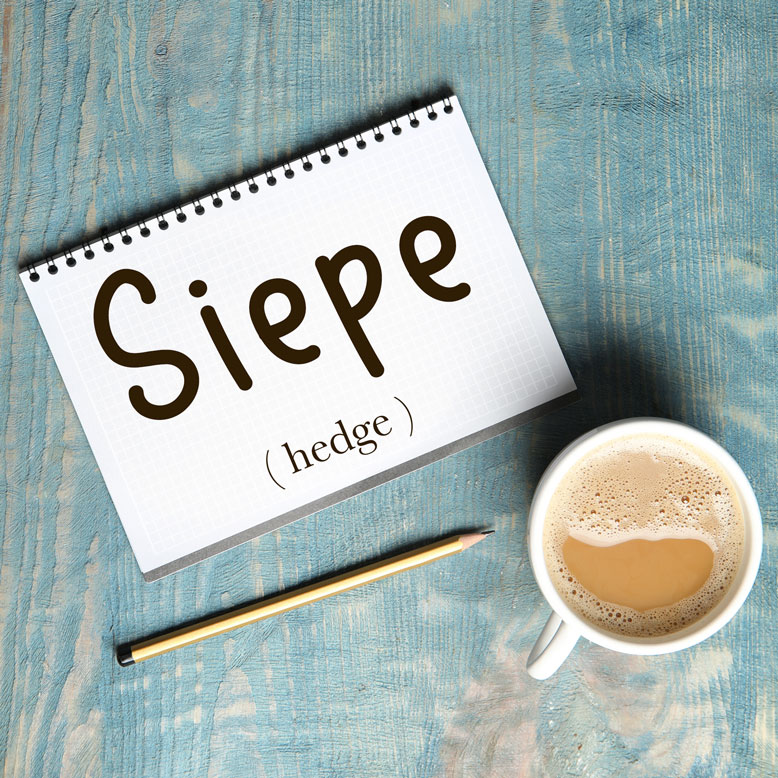 cover image with the word “siepe” and its translation written on a notepad next to a cup of coffee