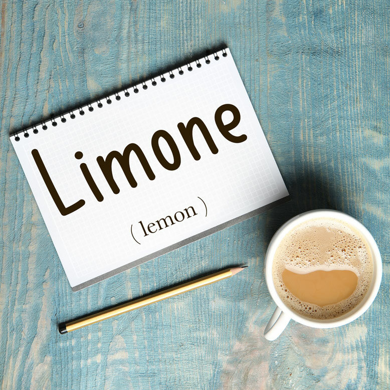 cover image with the word “limone” and its translation written on a notepad next to a cup of coffee