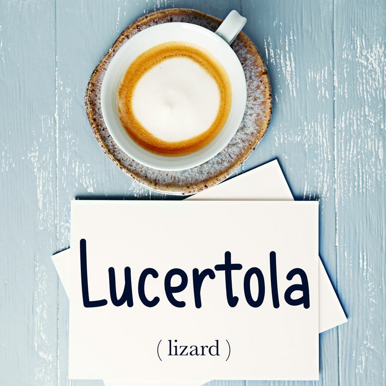 cover image with the word “lucertola” and its translation written on a notepad next to a cup of coffee