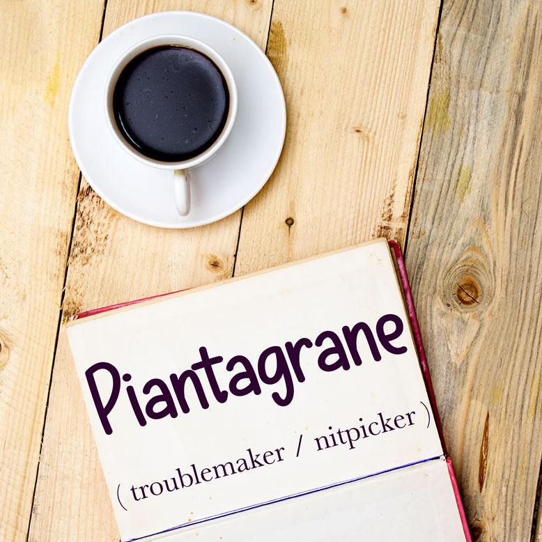 Italian Word Of The Day Piantagrane troublemaker Nitpicker Daily 