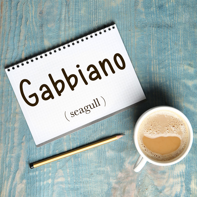 cover image with the word “gabbiano” and its translation written on a notepad next to a cup of coffee