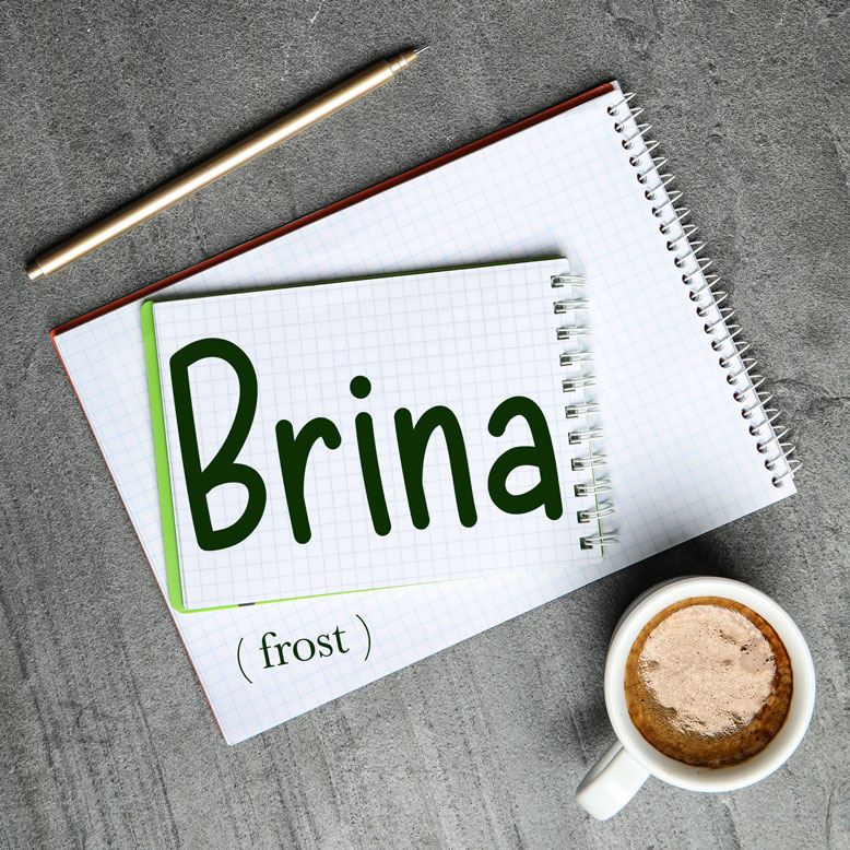 cover image with the word “brina” and its translation written on a notepad next to a cup of coffee