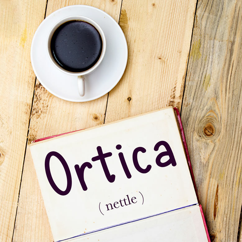 cover image with the word “ortica” and its translation written on a notepad next to a cup of coffee