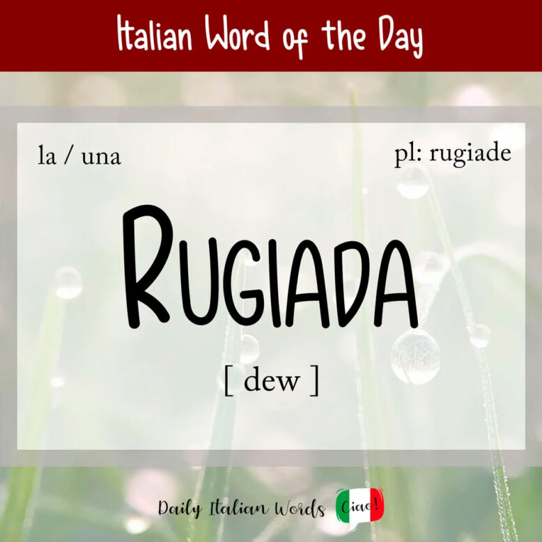 Italian word for dew, rugiada